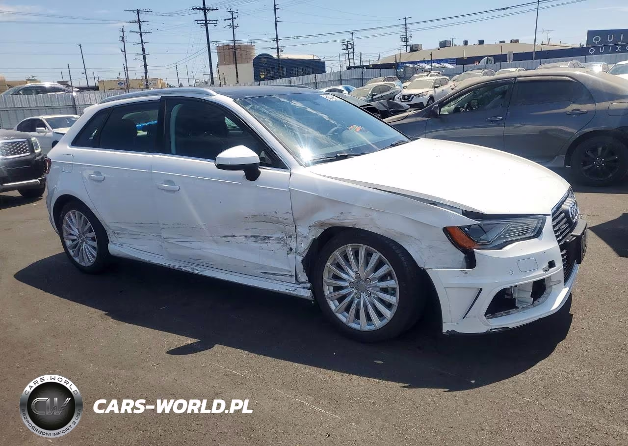 2016 Audi A3 E-Tron Premium Plus VIN:WAUTPBFF6GA129152 - 4