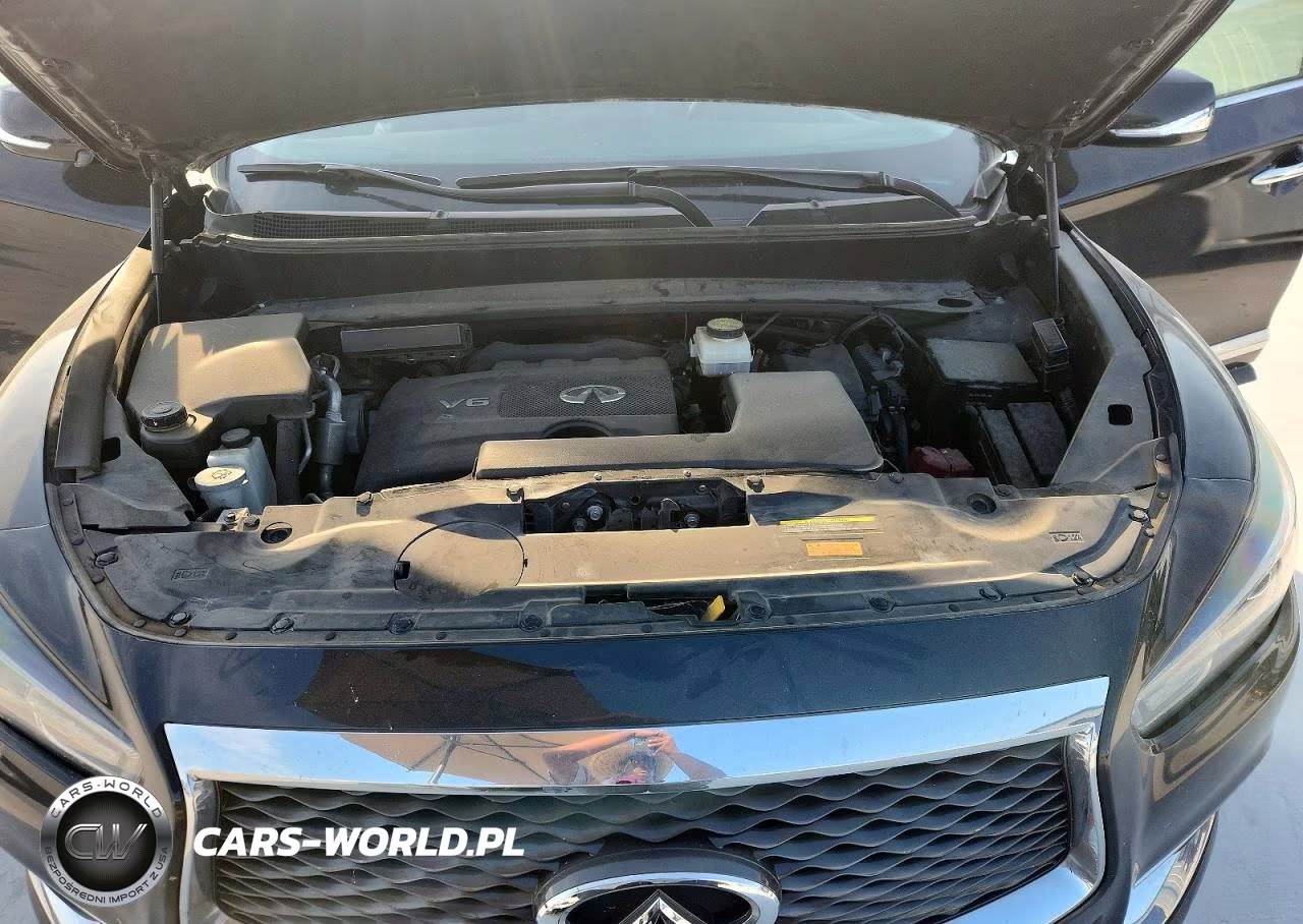2019 Infiniti Qx60 Pure VIN:5N1DL0MN7KC504444 - 12
