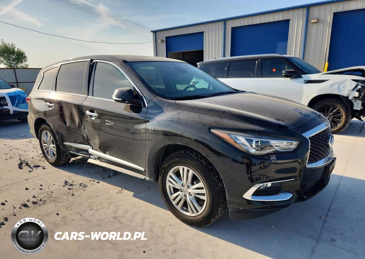 2019 Infiniti Qx60 Pure VIN:5N1DL0MN7KC504444 - 4
