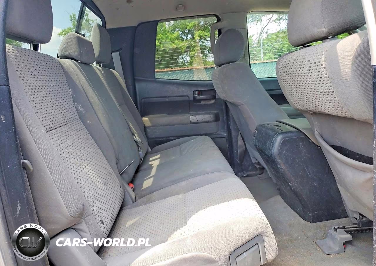 2010 Toyota Tundra Double Cab Sr5 VIN:5TFUM5F12AX015420 - 10