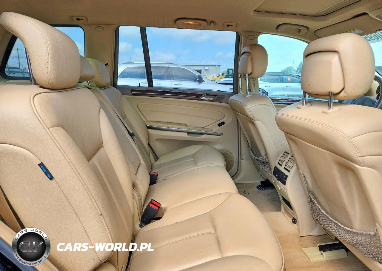 2010 Mercedes-Benz Gl 450 4Matic VIN:4JGBF7BE8AA621177 - 11