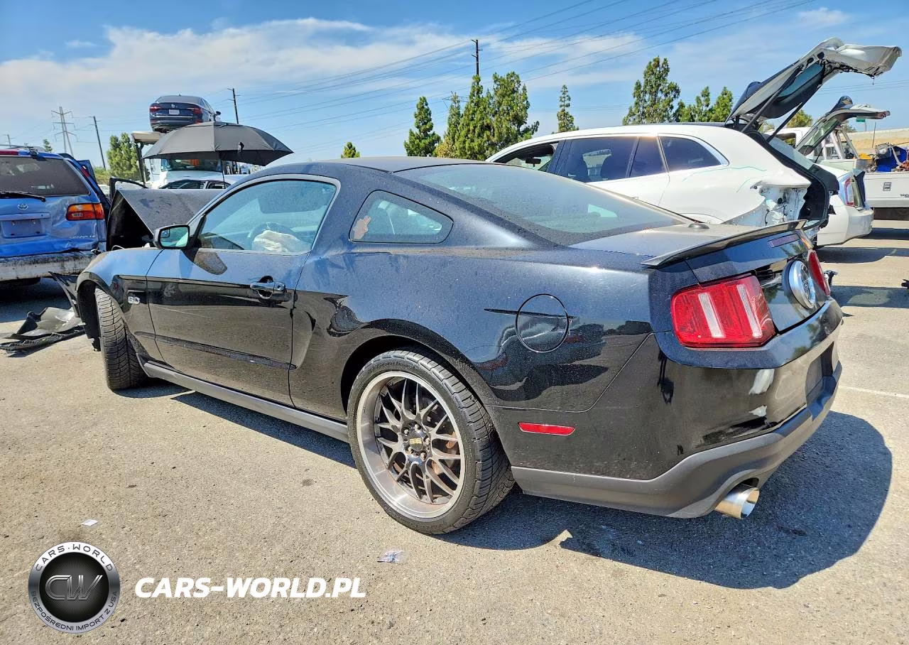 2011 Ford Mustang Gt VIN:1ZVBP8CF0B5157565 - 2