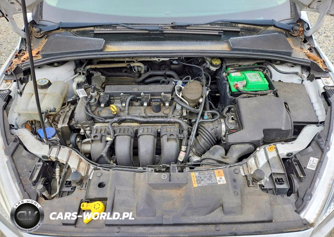 2016 Ford Focus Se VIN:1FADP3K25GL247767 - 11