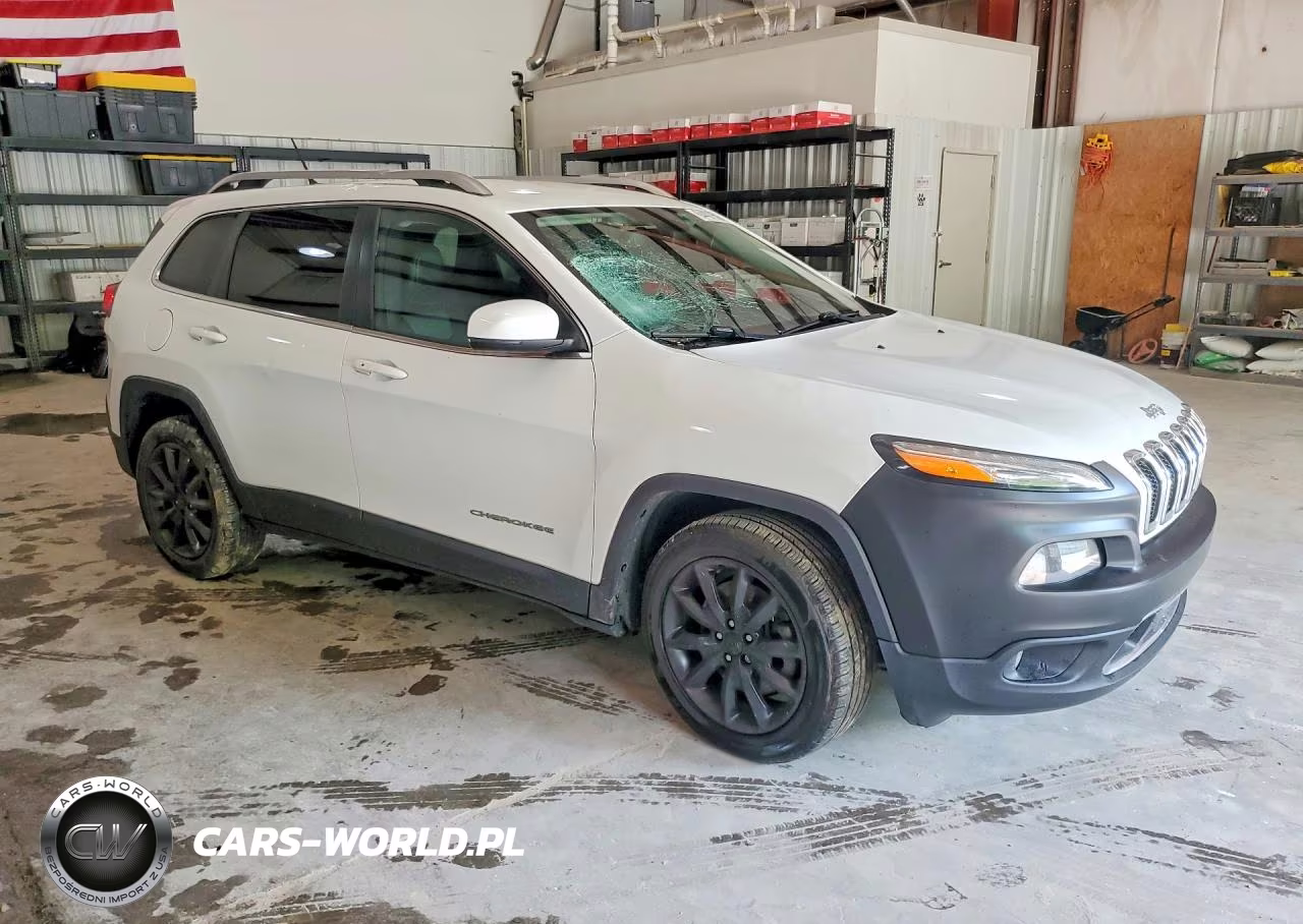 2014 Jeep Cherokee Limited VIN:1C4PJLDS3EW186839 - 4