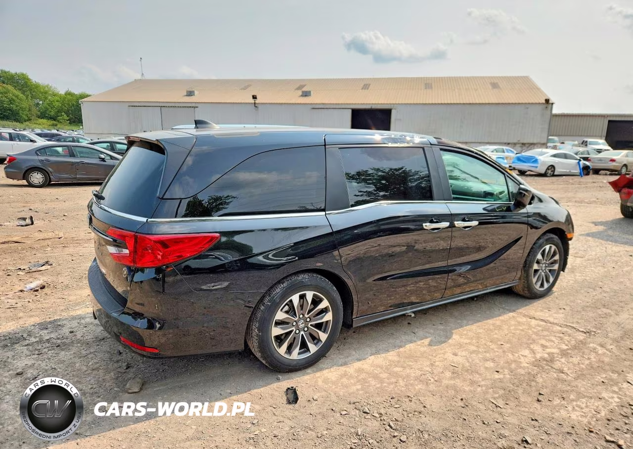 2023 Honda Odyssey Exl VIN:5FNRL6H69PB031009 - 3
