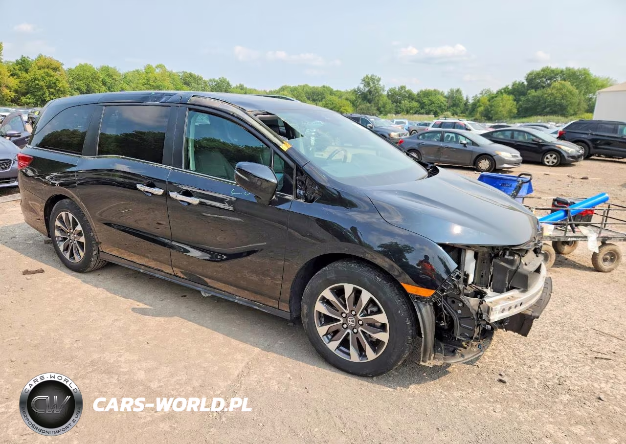 2023 Honda Odyssey Exl VIN:5FNRL6H69PB031009 - 4