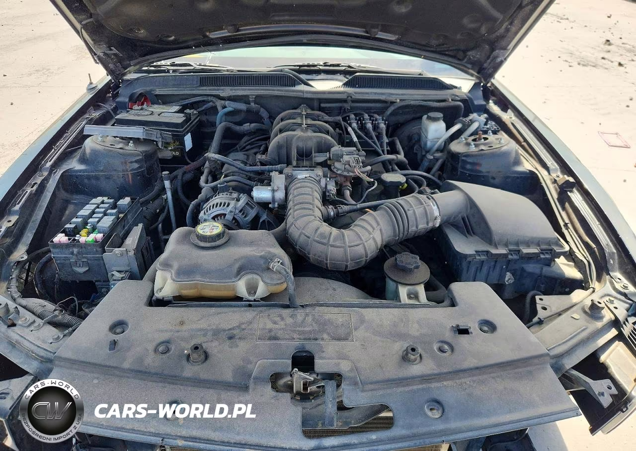 2009 Ford Mustang VIN:1ZVHT80N195120102 - 11