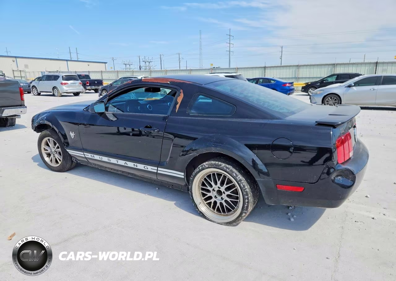 2009 Ford Mustang VIN:1ZVHT80N195120102 - 2