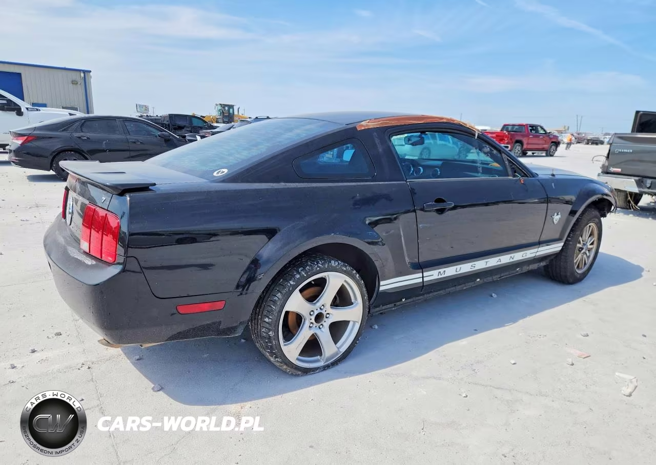 2009 Ford Mustang VIN:1ZVHT80N195120102 - 3