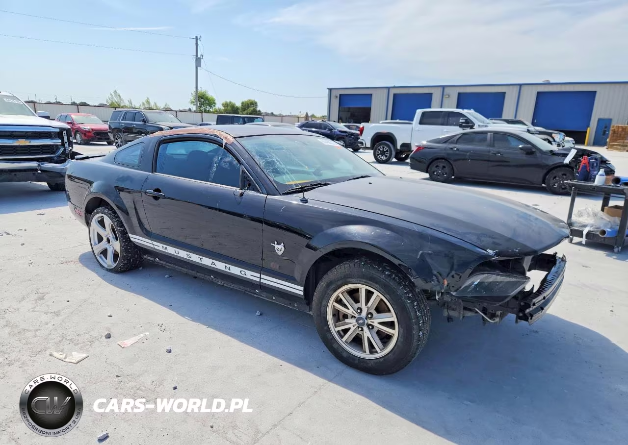 2009 Ford Mustang VIN:1ZVHT80N195120102 - 4