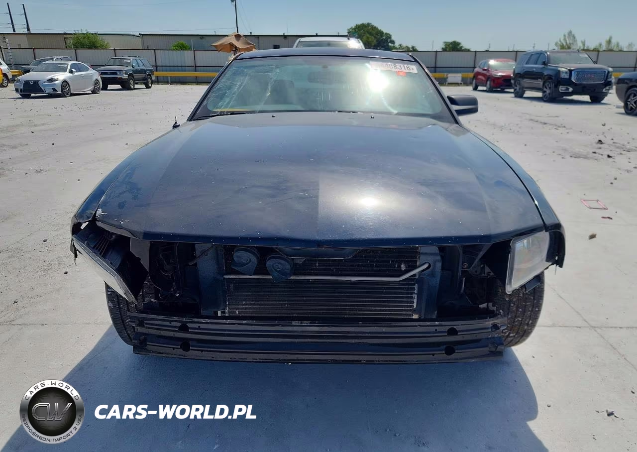 2009 Ford Mustang VIN:1ZVHT80N195120102 - 5