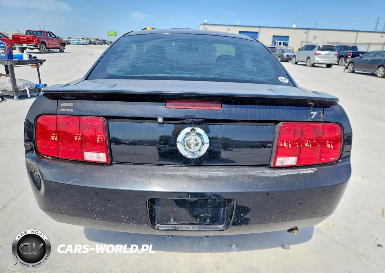 2009 Ford Mustang VIN:1ZVHT80N195120102 - 6