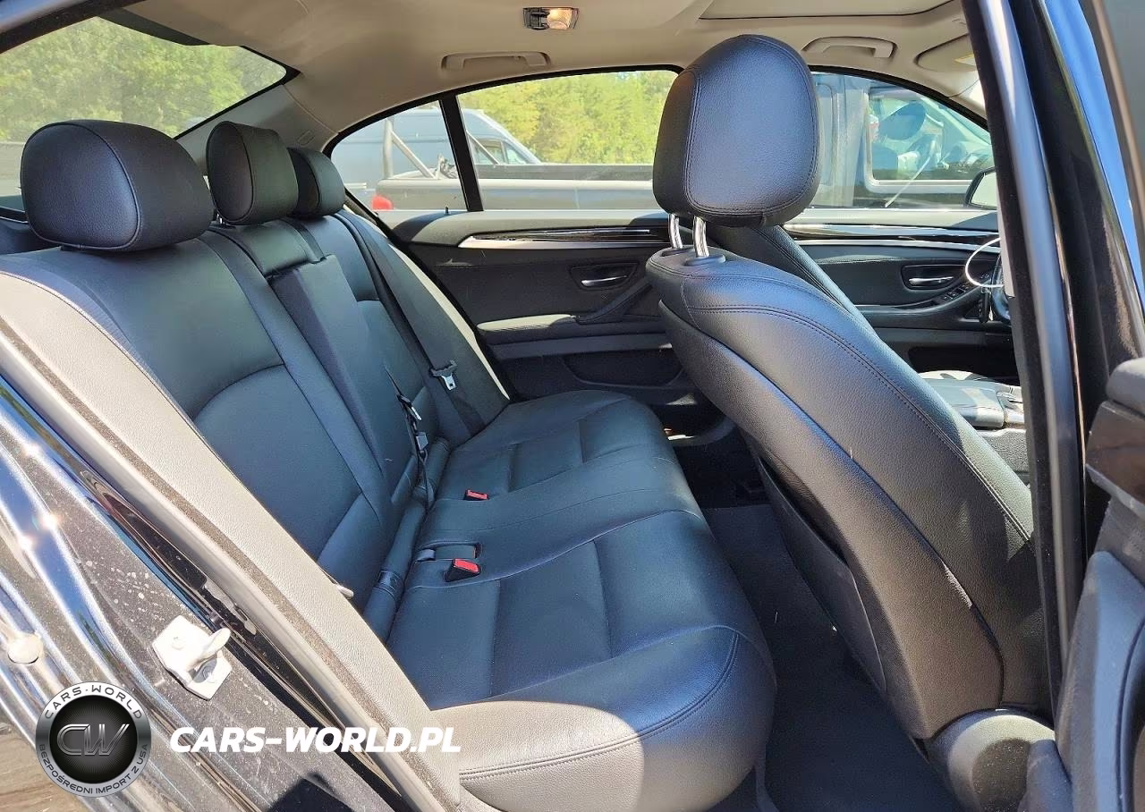 2014 BMW 528 Xi VIN:WBA5A7C56ED618438 - 10