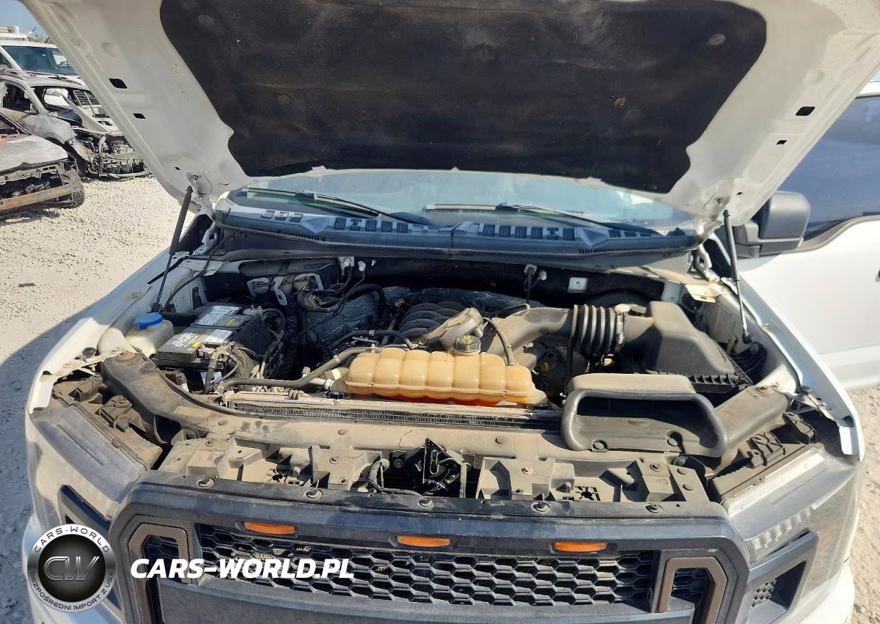2019 Ford F150 Supercrew VIN:1FTEW1C59KKE69533 - 11