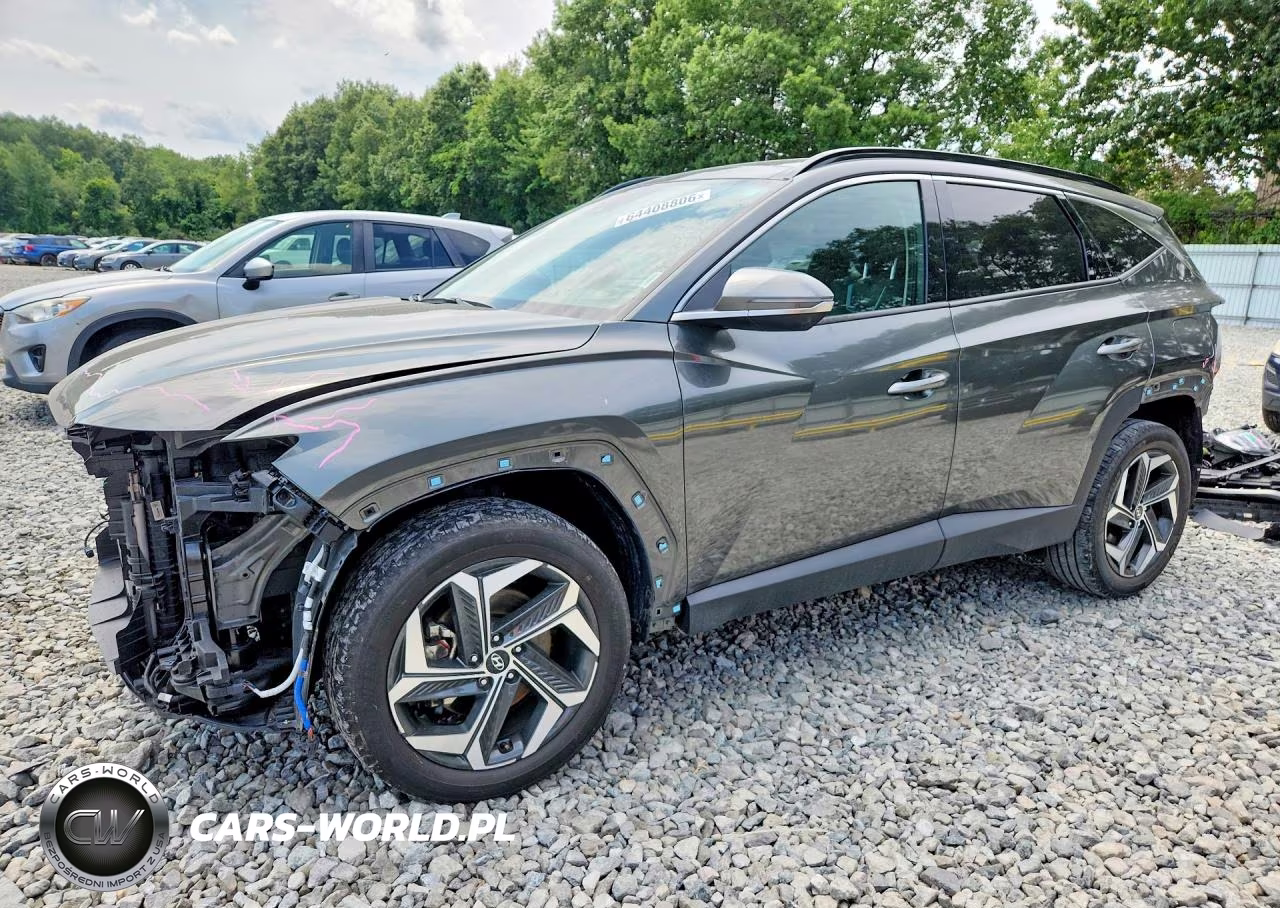 2022 Hyundai Tucson Limited VIN:5NMJECAE3NH155974 - 1
