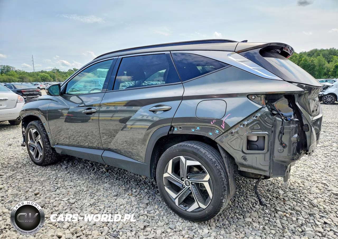 2022 Hyundai Tucson Limited VIN:5NMJECAE3NH155974 - 2