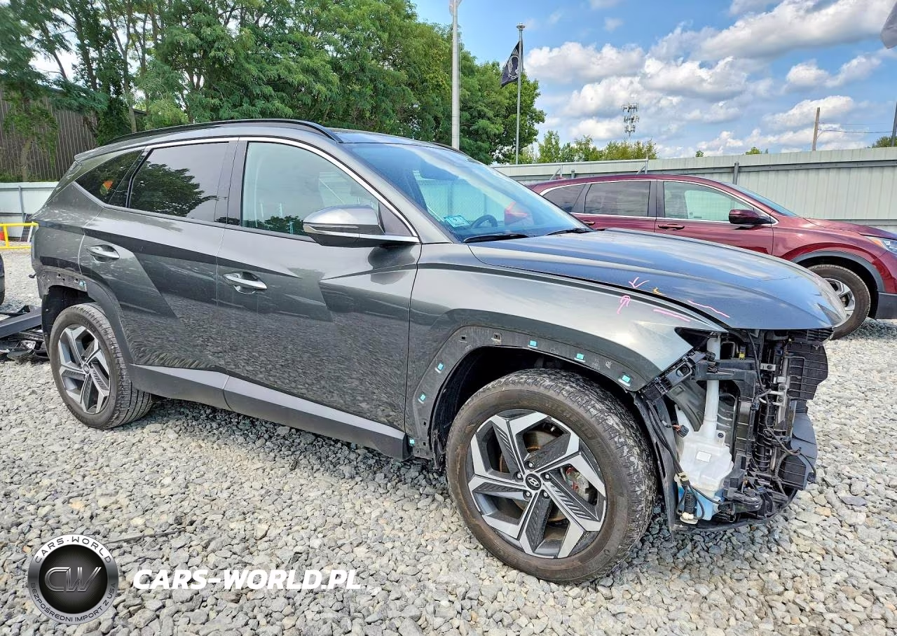 2022 Hyundai Tucson Limited VIN:5NMJECAE3NH155974 - 4
