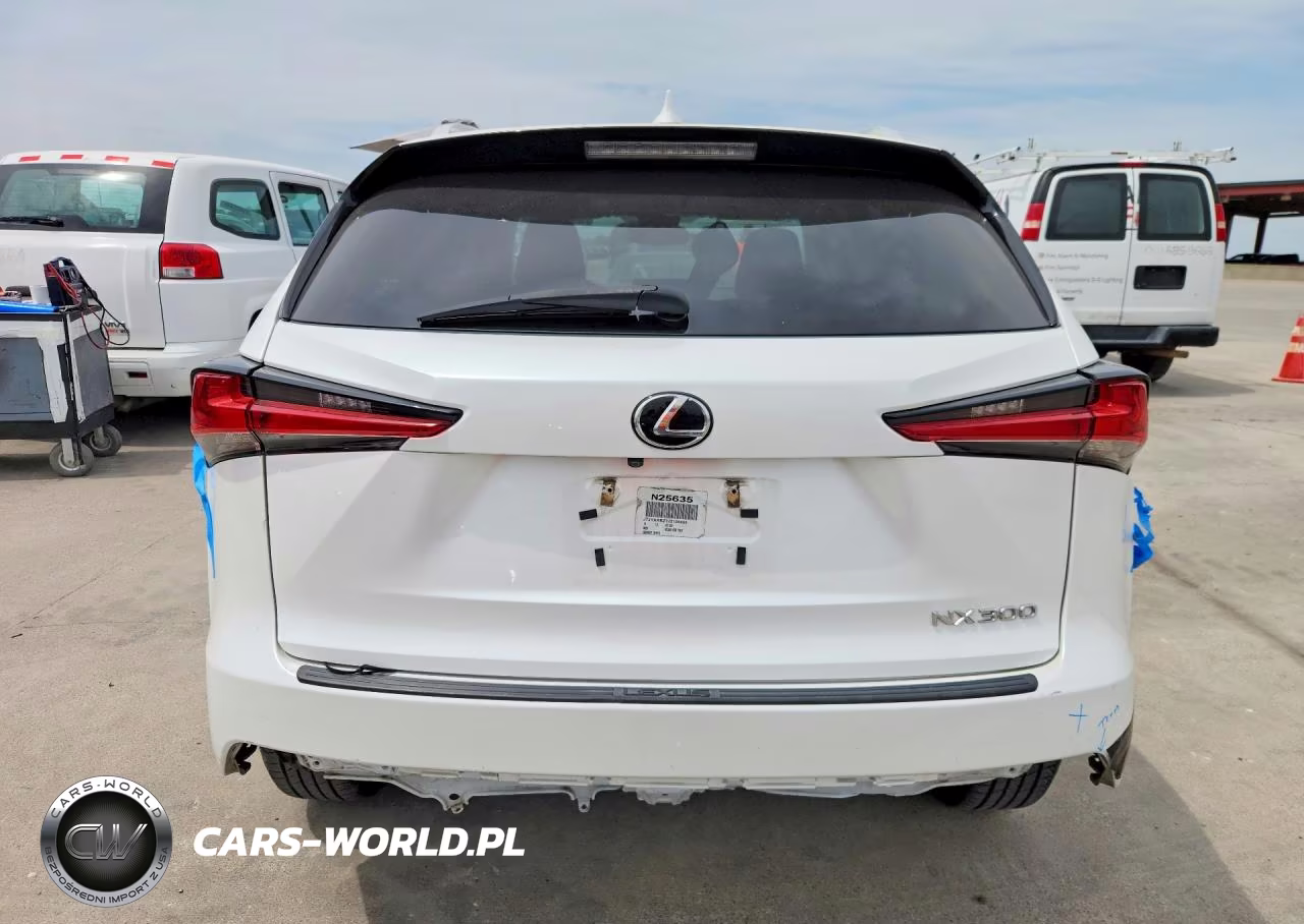 2018 Lexus Nx 300 Base VIN:JTJYARBZ7J2104455 - 6