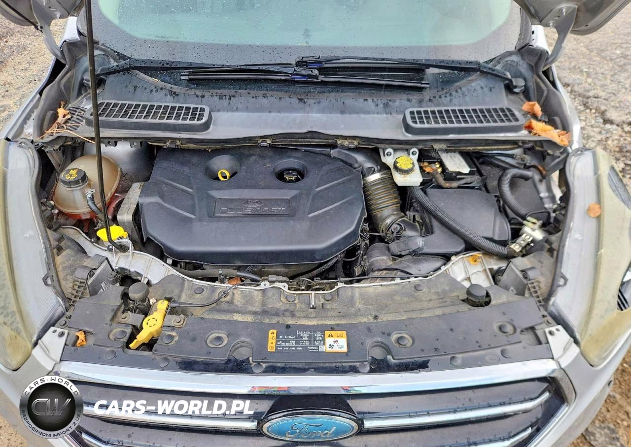2017 Ford Escape Se VIN:1FMCU9G91HUE86604 - 11