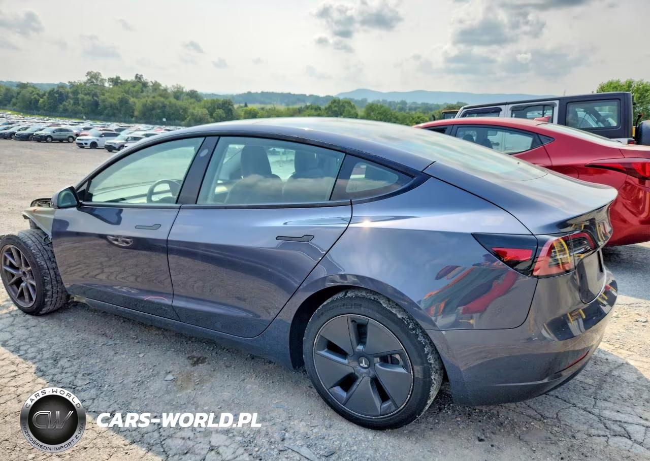 2023 Tesla Model 3 VIN:5YJ3E1EA5PF641761 - 2