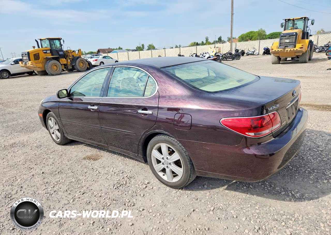 2005 Lexus Es 330 VIN:JTHBA30G155116157 - 2