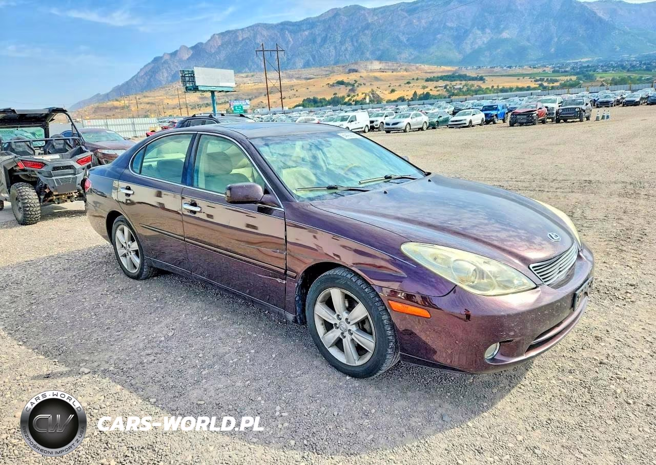 2005 Lexus Es 330 VIN:JTHBA30G155116157 - 4