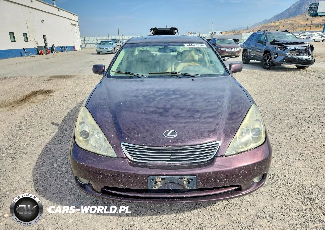 2005 Lexus Es 330 VIN:JTHBA30G155116157 - 5
