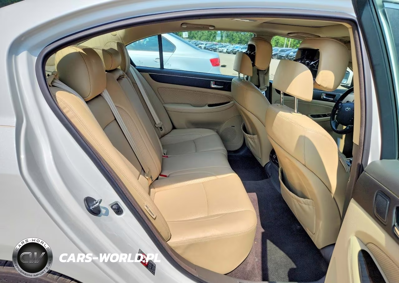 2010 Hyundai Genesis 4.6L VIN:KMHGC4DF7AU106091 - 10