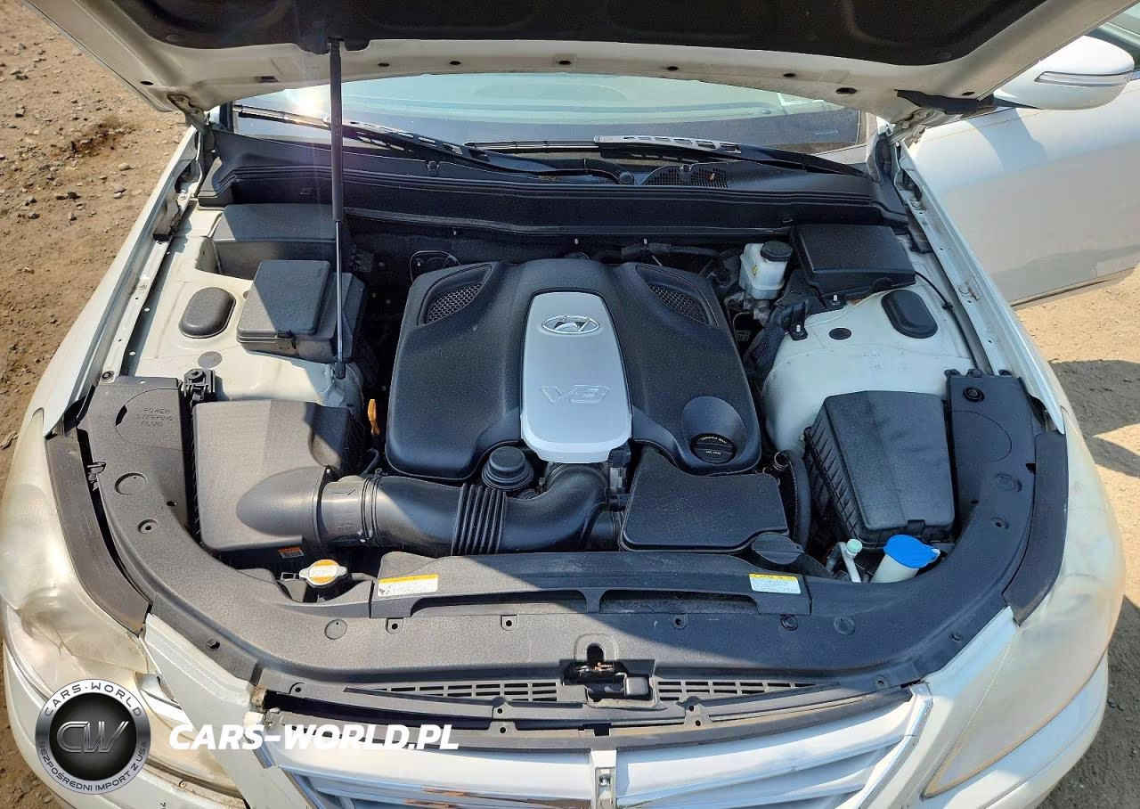 2010 Hyundai Genesis 4.6L VIN:KMHGC4DF7AU106091 - 11