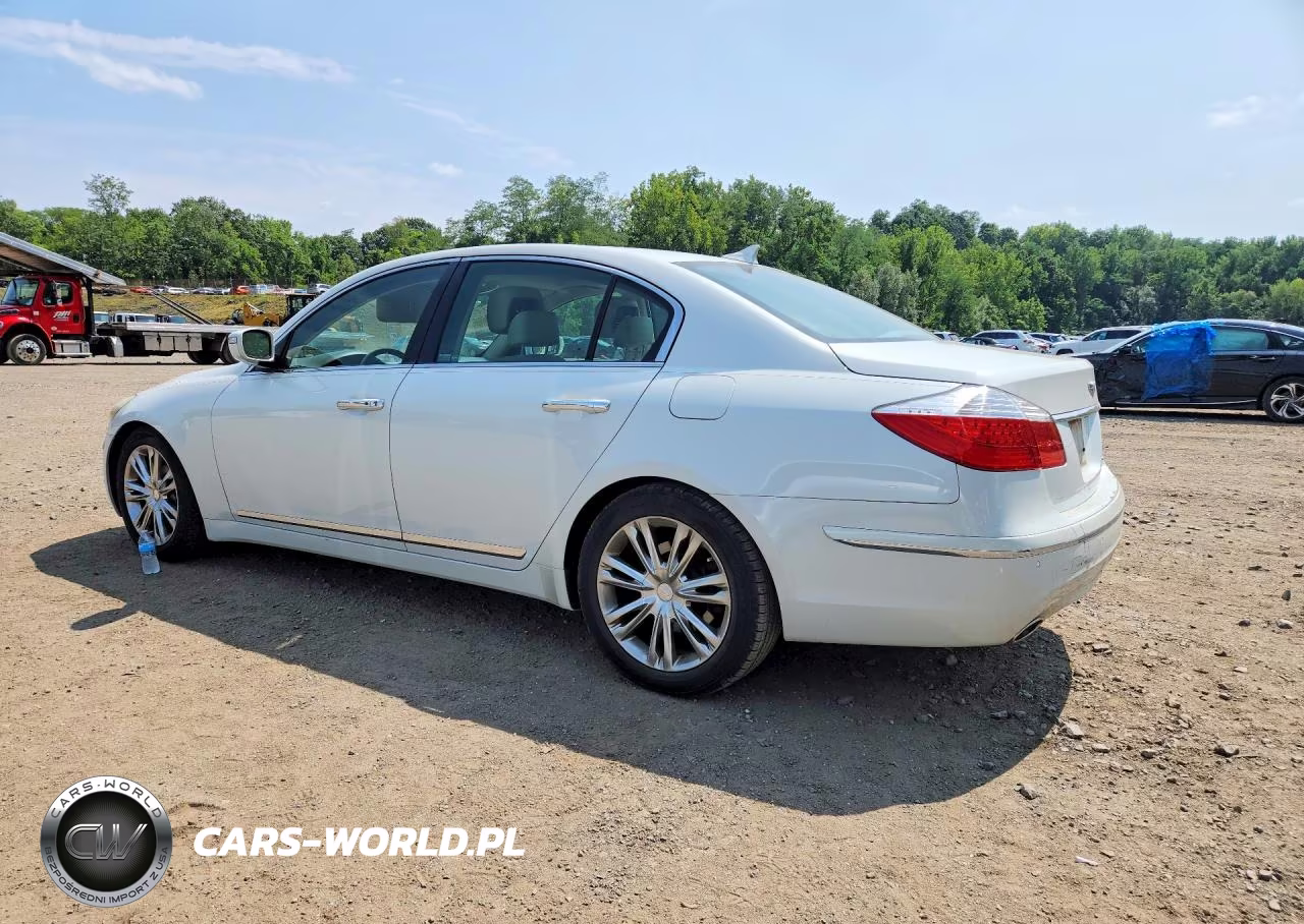 2010 Hyundai Genesis 4.6L VIN:KMHGC4DF7AU106091 - 2