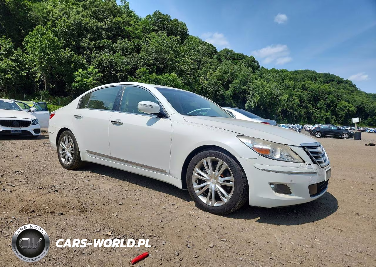 2010 Hyundai Genesis 4.6L VIN:KMHGC4DF7AU106091 - 4