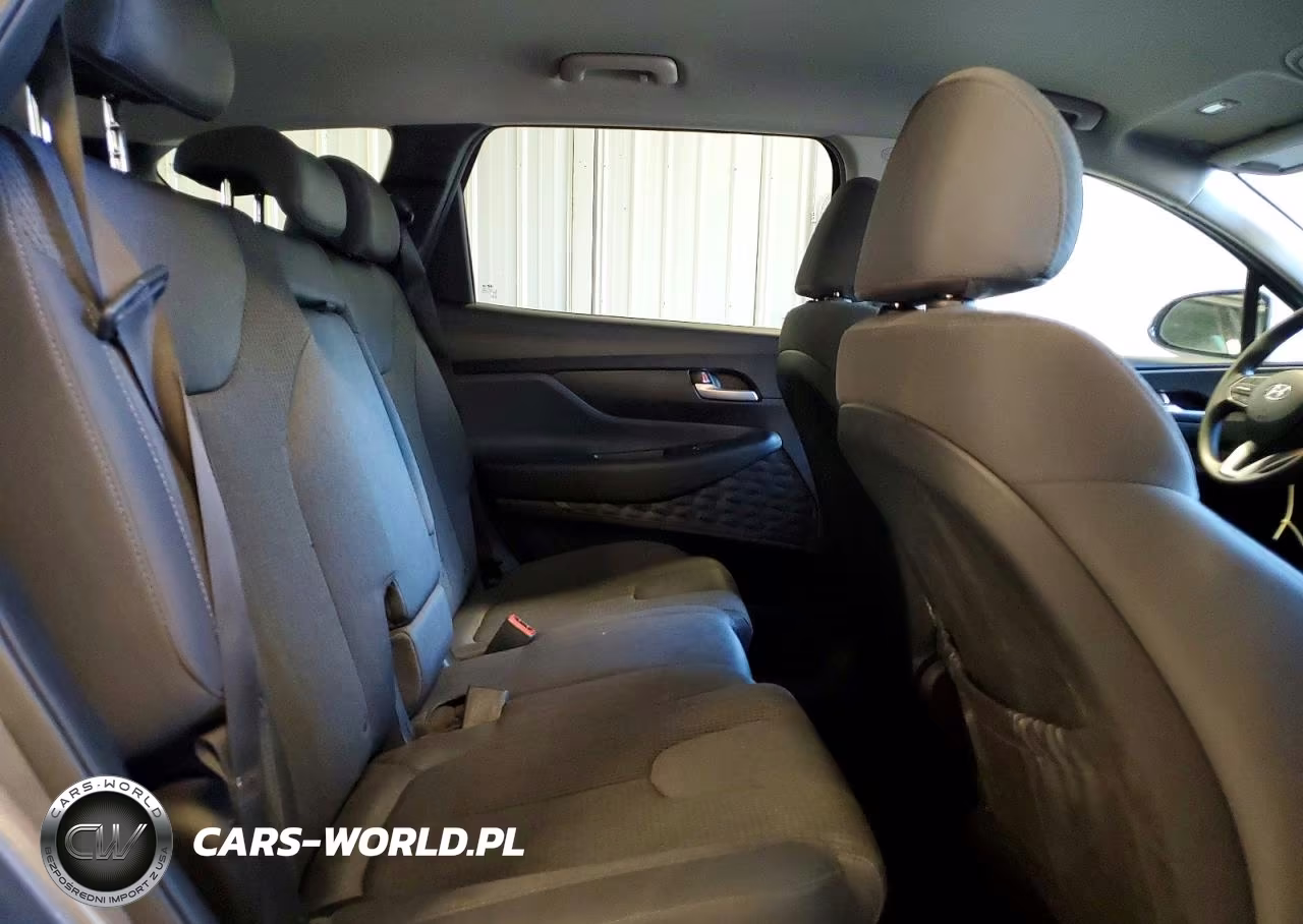 2019 Hyundai Santa Fe Sel 2.4L VIN:5NMS3CAD6KH003023 - 11