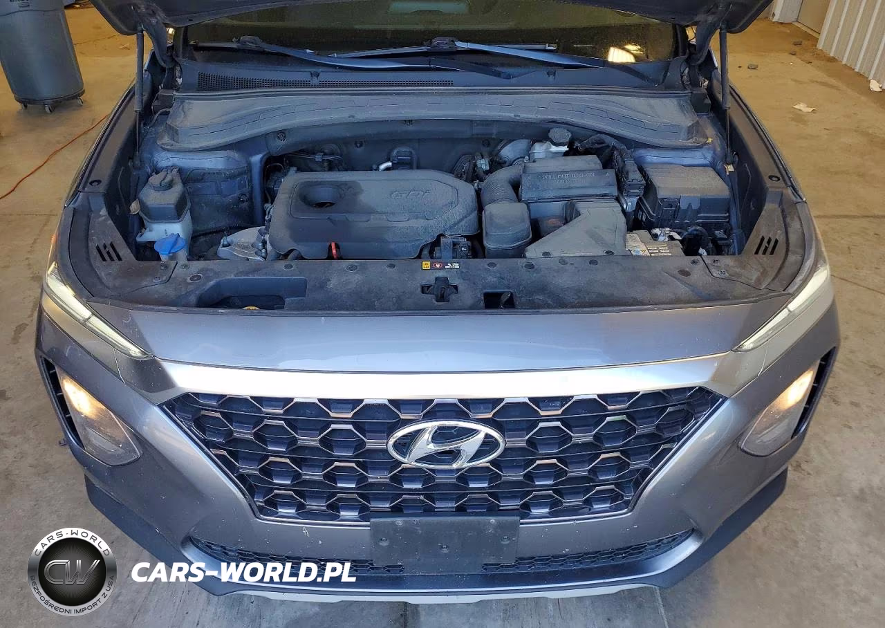 2019 Hyundai Santa Fe Sel 2.4L VIN:5NMS3CAD6KH003023 - 12