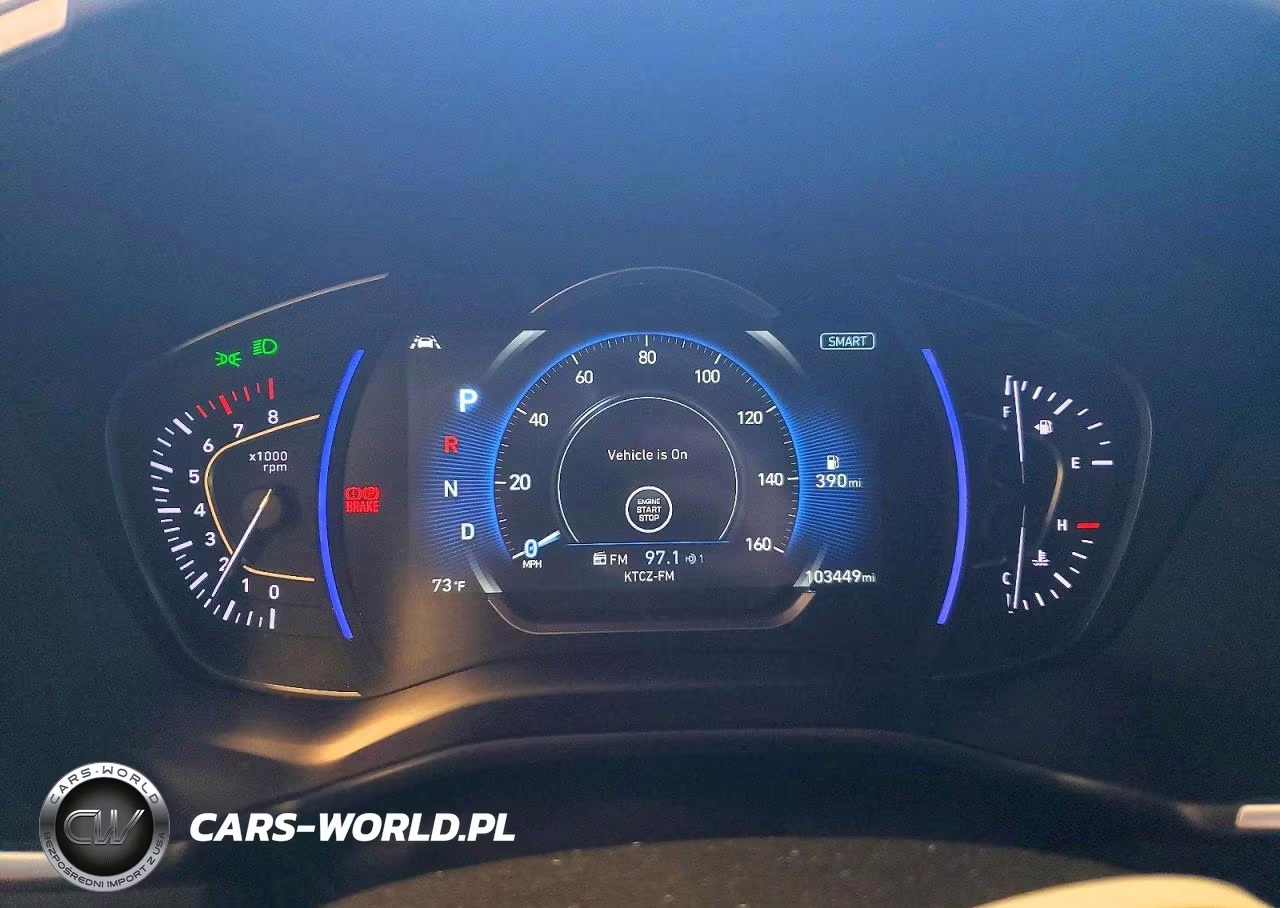 2019 Hyundai Santa Fe Sel 2.4L VIN:5NMS3CAD6KH003023 - 9