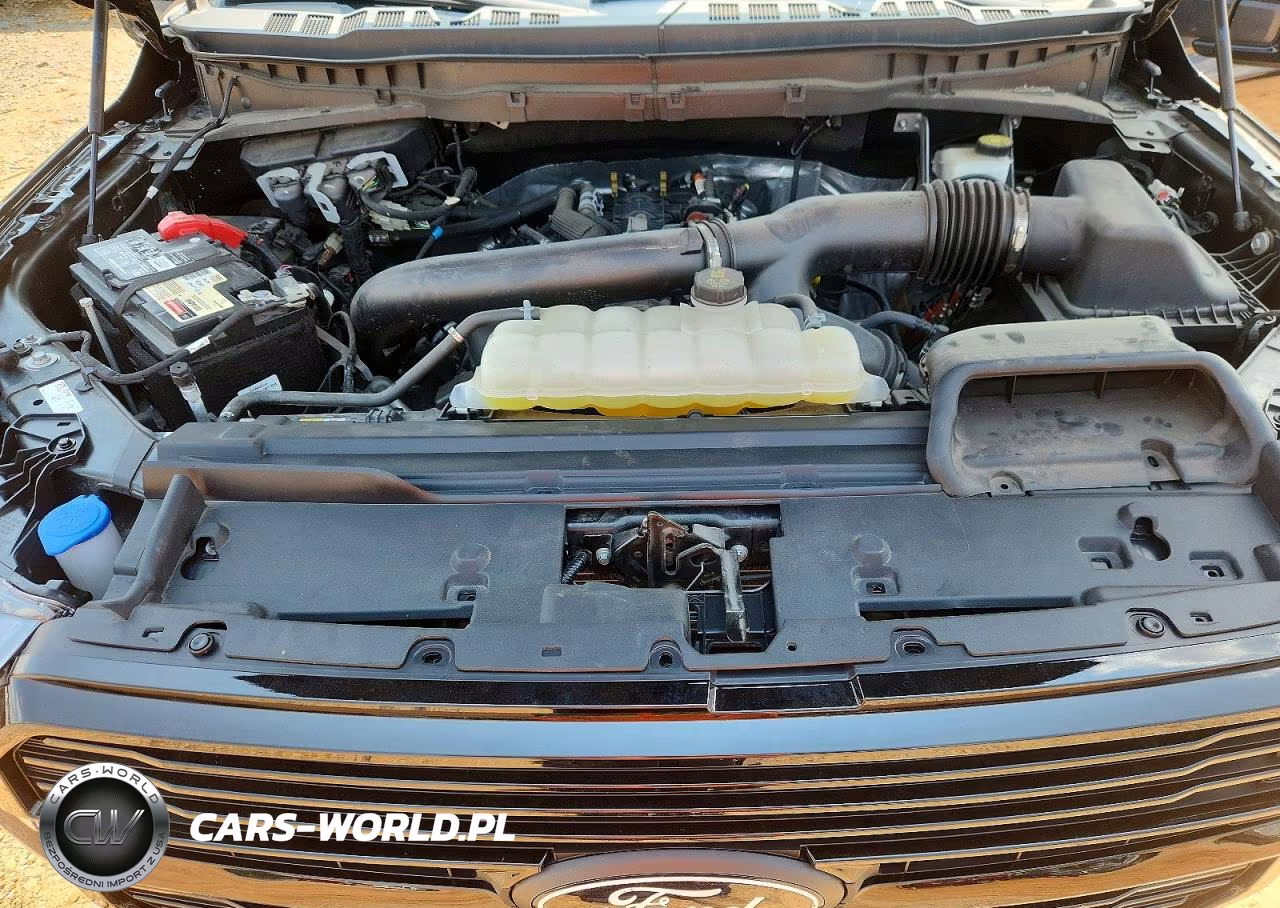 2024 Ford F150 Platinum VIN:1FTFW7L86RFA11601 - 11