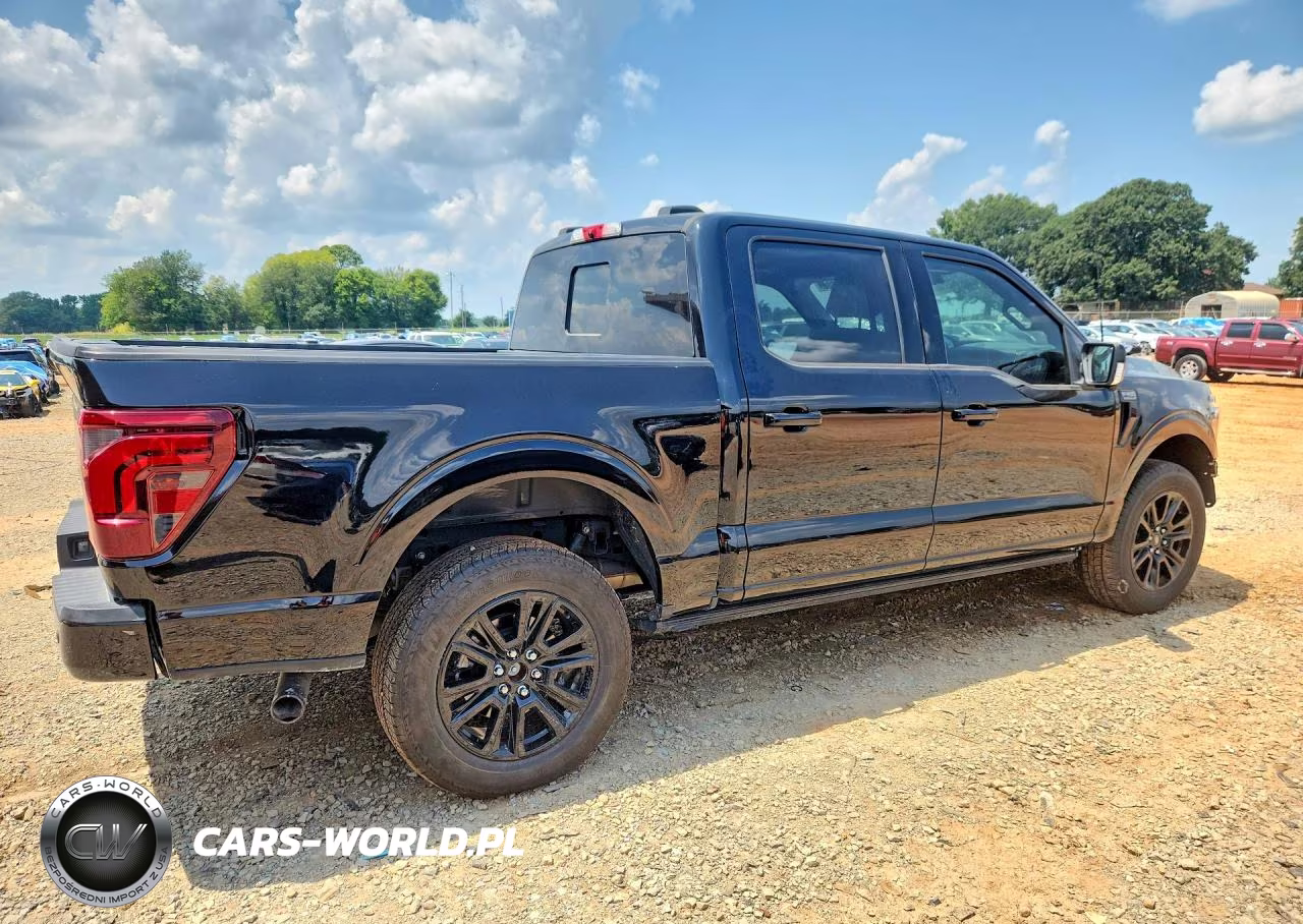 2024 Ford F150 Platinum VIN:1FTFW7L86RFA11601 - 3
