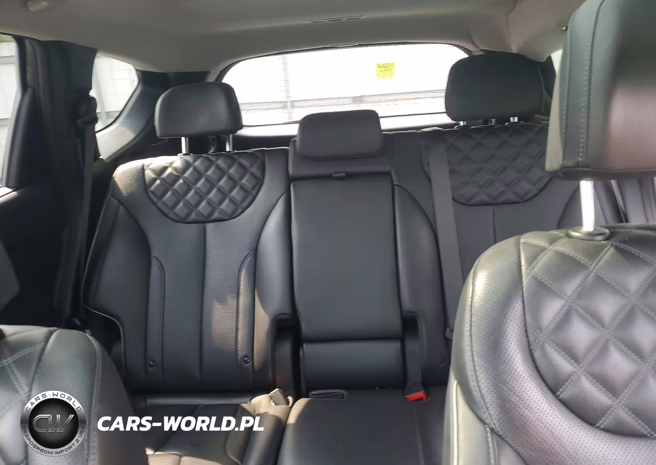 2021 Hyundai Santa Fe Sel Premium VIN:KM8S3DA11MU003949 - 10
