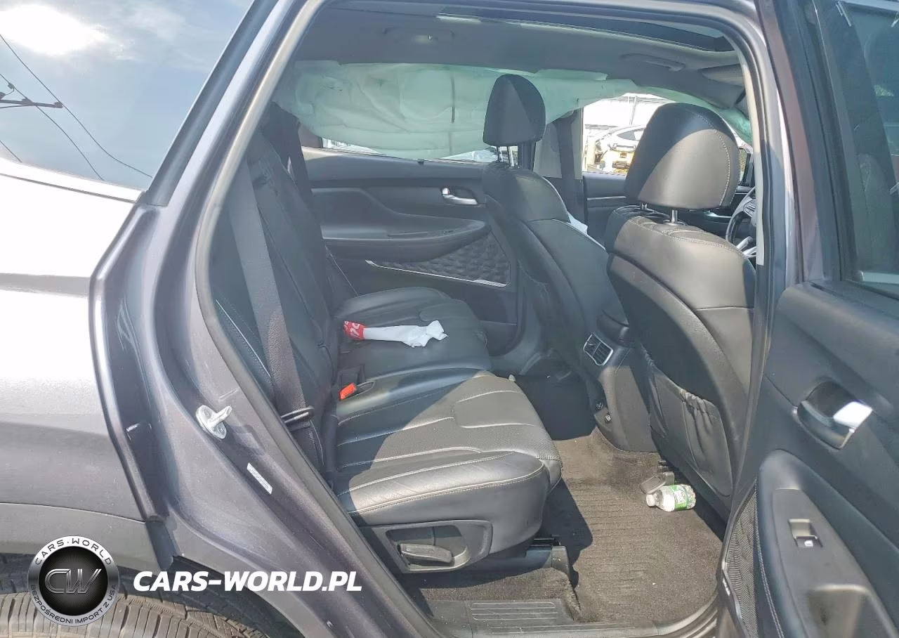 2021 Hyundai Santa Fe Sel Premium VIN:KM8S3DA11MU003949 - 11