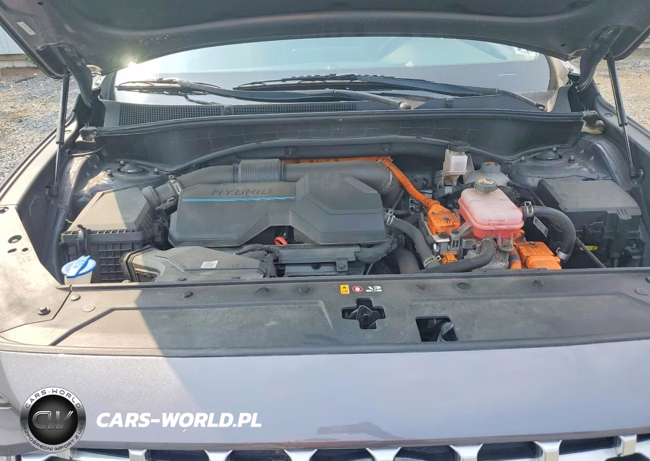 2021 Hyundai Santa Fe Sel Premium VIN:KM8S3DA11MU003949 - 12