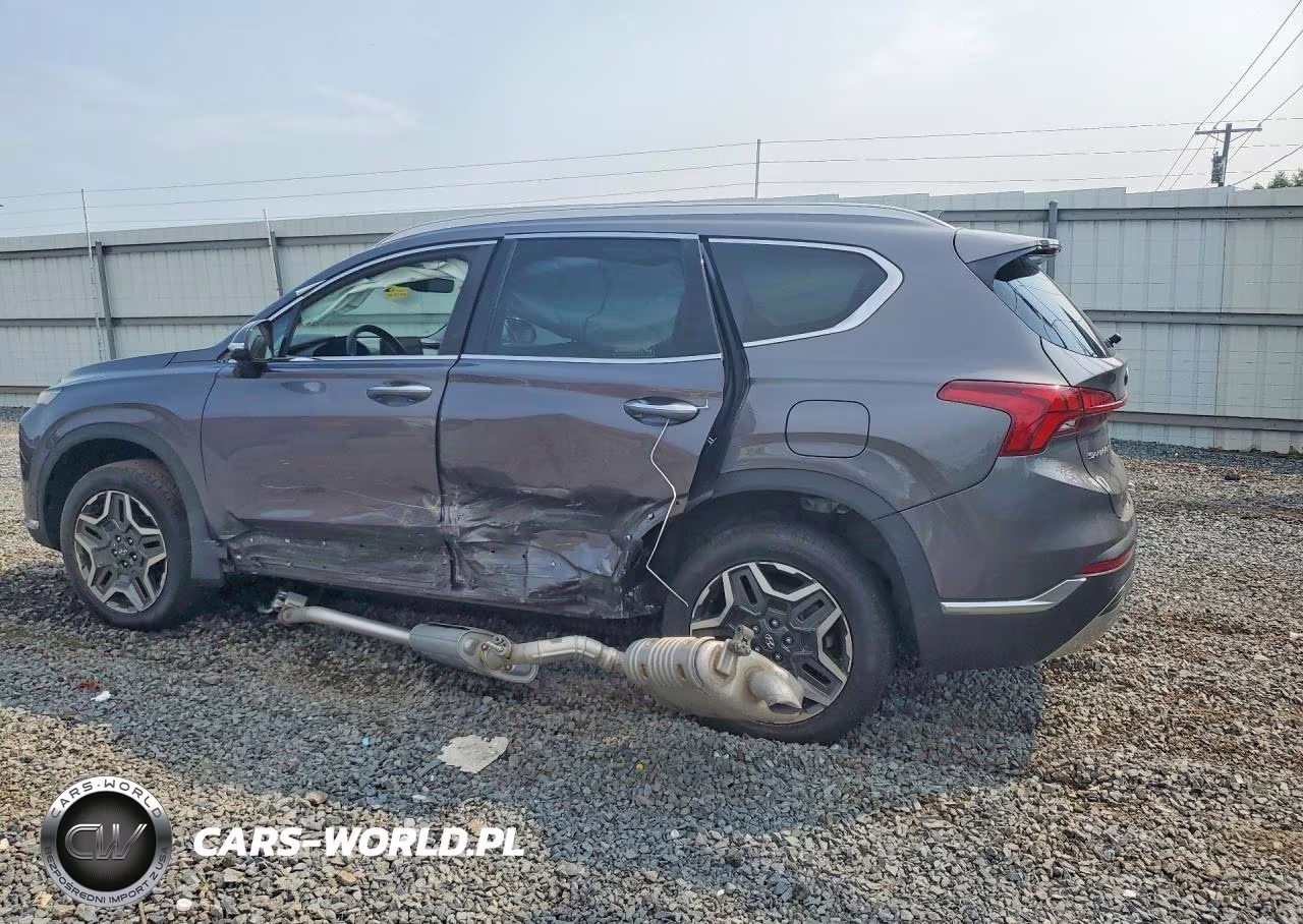 2021 Hyundai Santa Fe Sel Premium VIN:KM8S3DA11MU003949 - 2