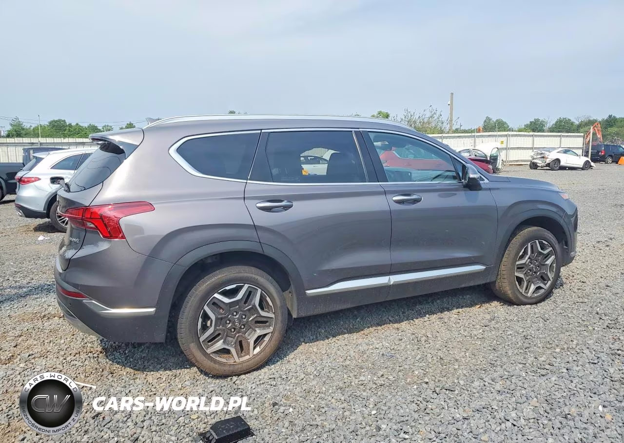 2021 Hyundai Santa Fe Sel Premium VIN:KM8S3DA11MU003949 - 3