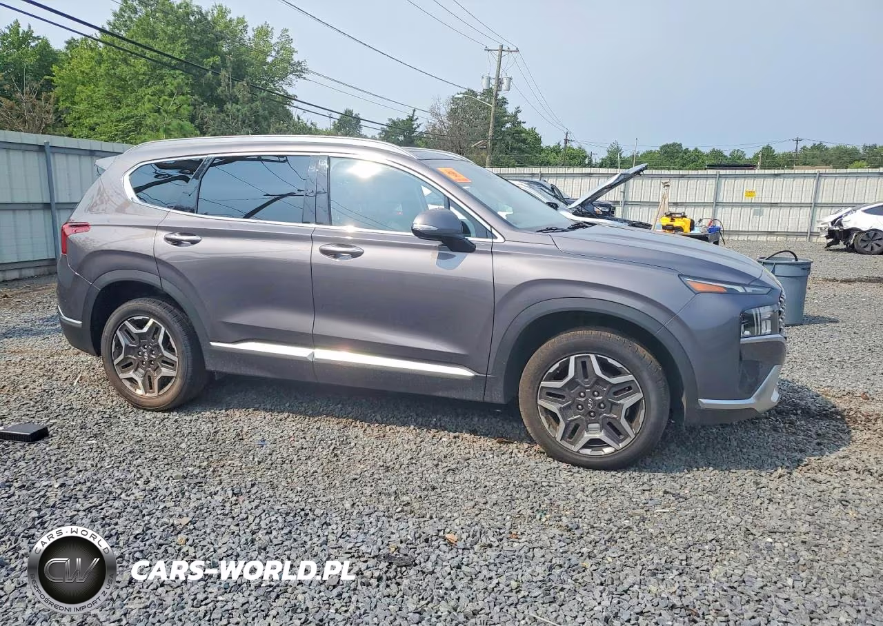 2021 Hyundai Santa Fe Sel Premium VIN:KM8S3DA11MU003949 - 4