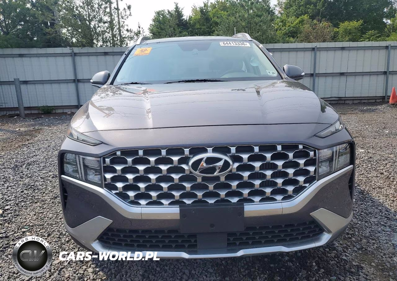 2021 Hyundai Santa Fe Sel Premium VIN:KM8S3DA11MU003949 - 5