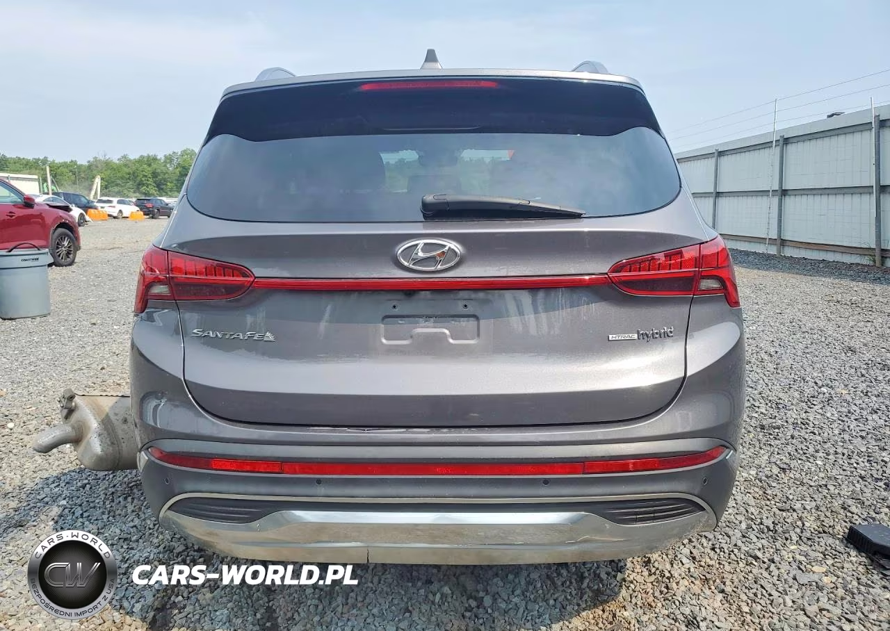 2021 Hyundai Santa Fe Sel Premium VIN:KM8S3DA11MU003949 - 6
