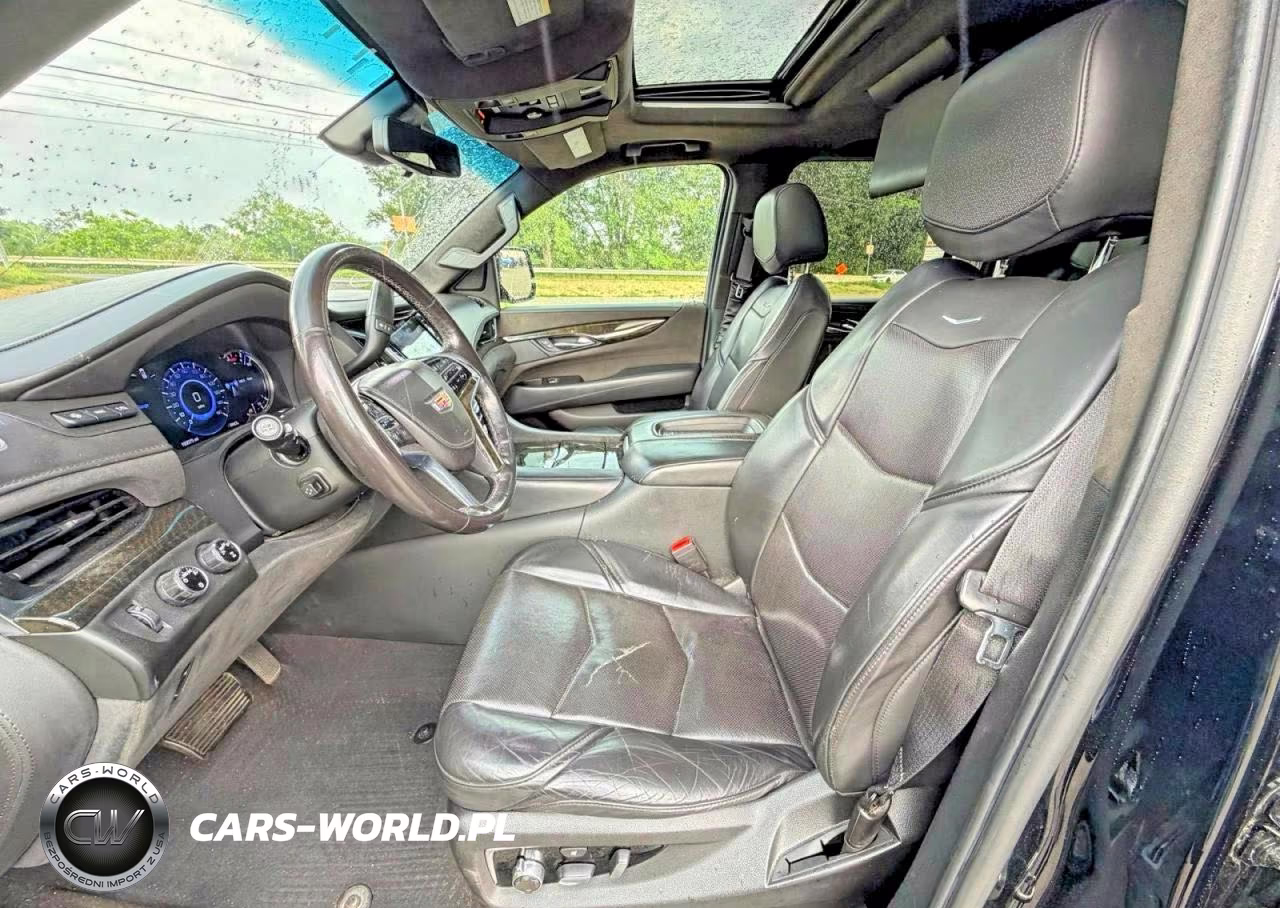 2020 Cadillac Escalade Esv Platinum VIN:1GYS4KKJ2LR110640 - 13