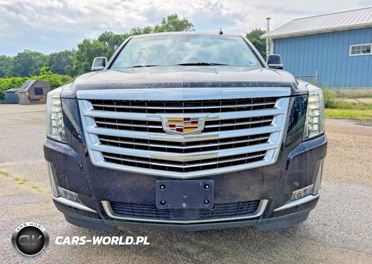 2020 Cadillac Escalade Esv Platinum VIN:1GYS4KKJ2LR110640 - 14
