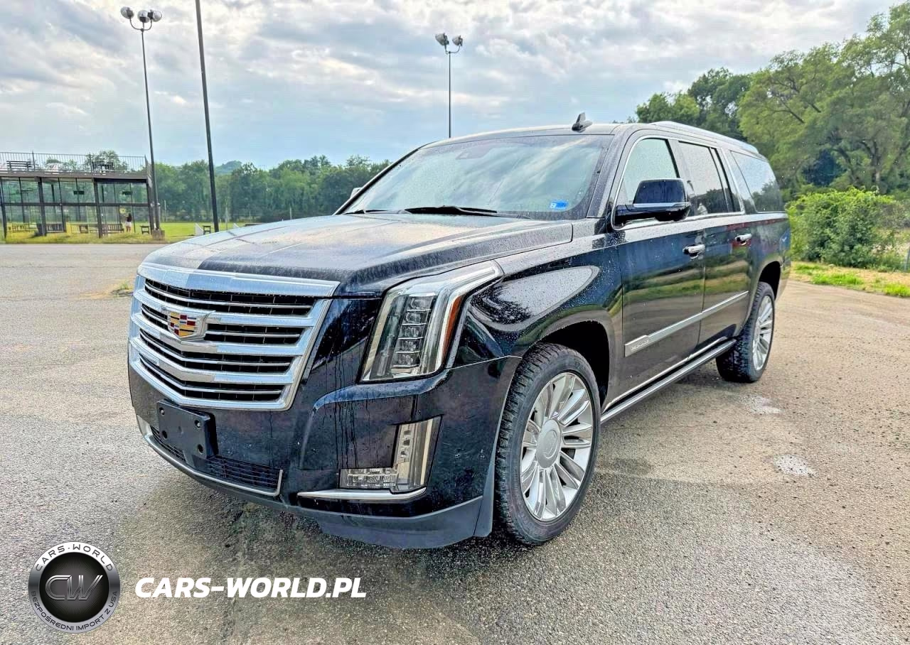 2020 Cadillac Escalade Esv Platinum VIN:1GYS4KKJ2LR110640 - 2