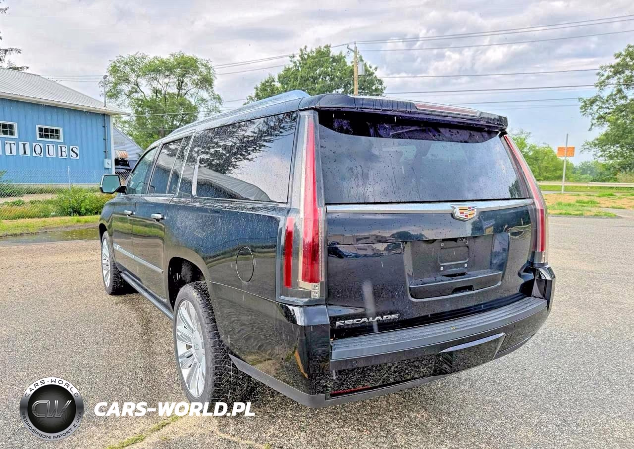 2020 Cadillac Escalade Esv Platinum VIN:1GYS4KKJ2LR110640 - 3