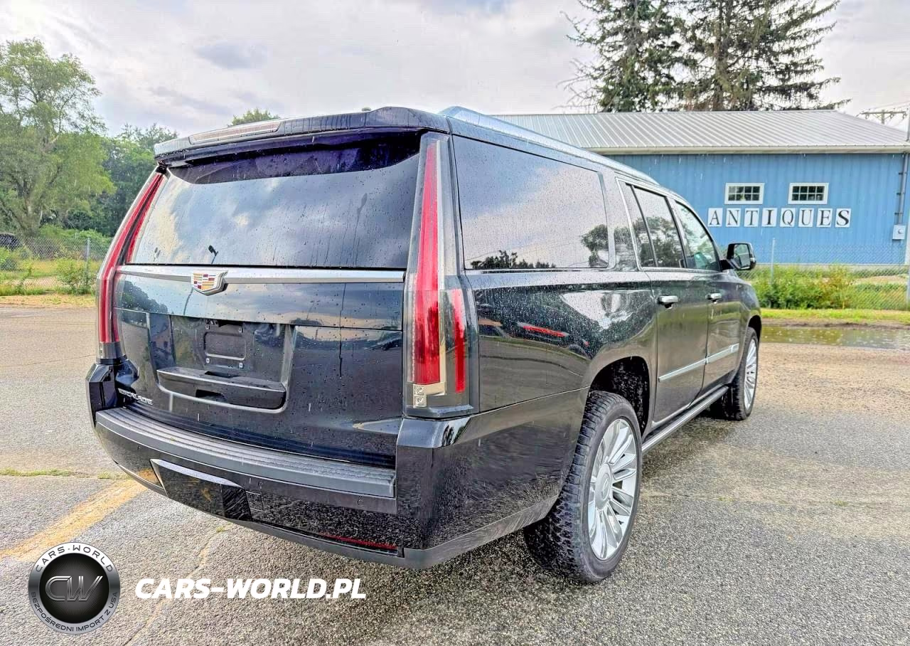 2020 Cadillac Escalade Esv Platinum VIN:1GYS4KKJ2LR110640 - 4