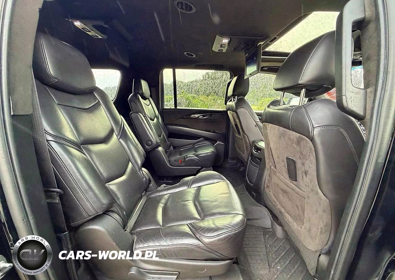 2020 Cadillac Escalade Esv Platinum VIN:1GYS4KKJ2LR110640 - 6